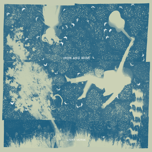 Light Verse by Iron and Wine album cover